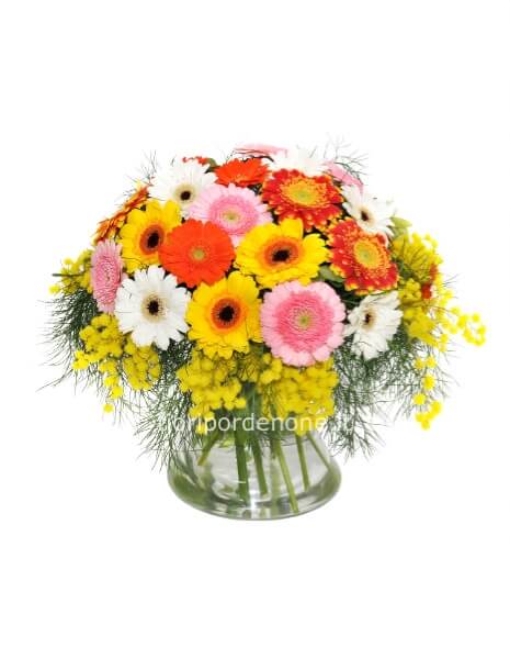 bouquet gerbere e mimosa