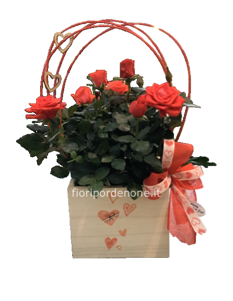 Cubo di legno con pianta di rosellina