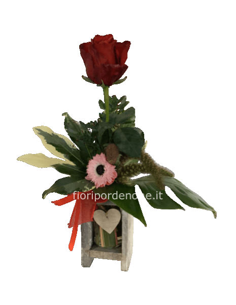 Vasocuorelegnorosabocciolone