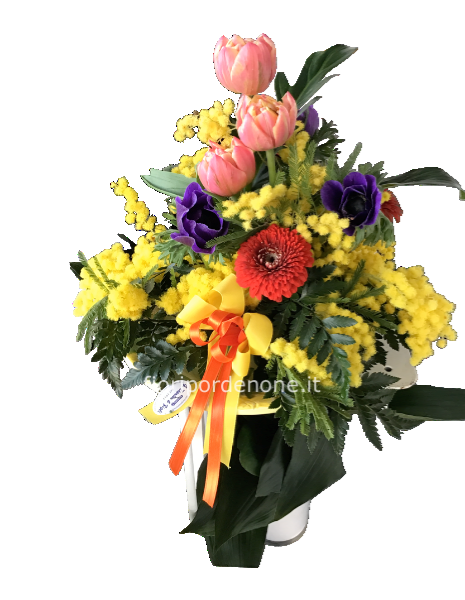 Centrotavola Con mimosa e fiori colorati