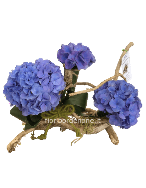 Ortensia su tronco” natural”