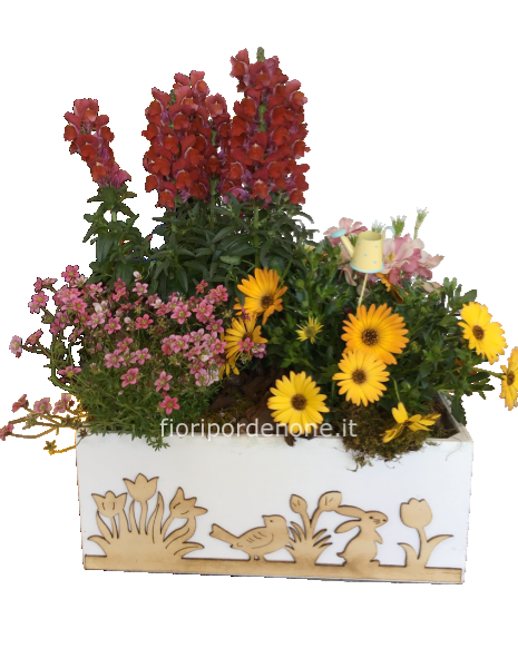 Cassetta con piante perenni da esterno