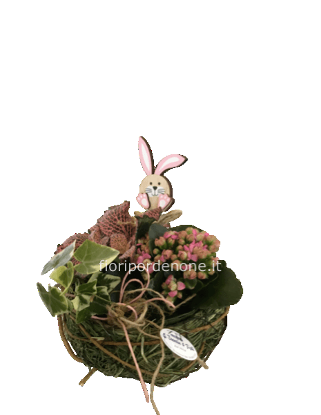 Ovalina con piantine da interno