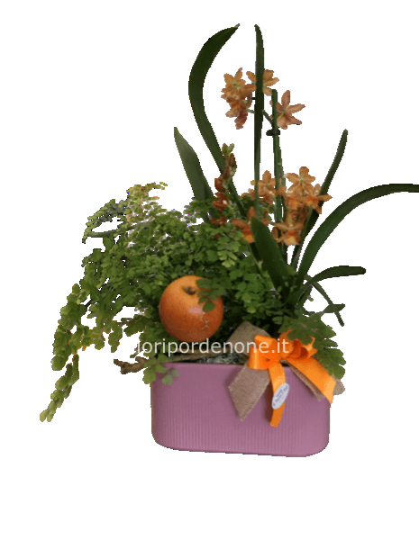 Composizione autunnale con orchidea cambria e capelvenere